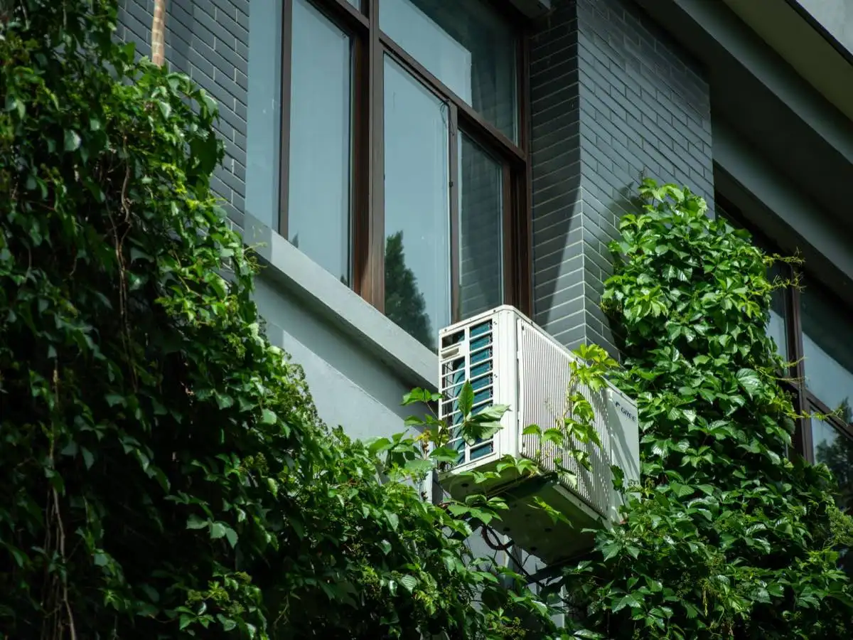 Energy-Efficient Windows and Storm Panels in Charleston, SC